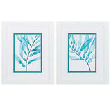 9" X 11" Matte White Frame Watercolor Kelp (Set of 2)