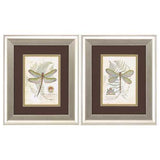 11" X 13" Brushed Silver Frame Dragonfly (Set of 2)