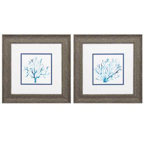 13" X 13" Distressed Wood Toned Frame Azure Seafan (Set of 2)
