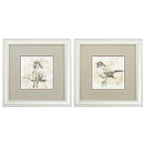 12" X 12" Champagne Gold Color Frame  Bird Sketch (Set of 2)