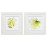 19" X 19" White Frame Balaze Palma (Set of 2)