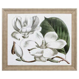31" X 26" Champagne Color Frame  Curtis Magnolia I