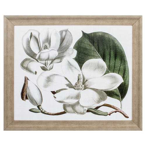 31" X 26" Champagne Color Frame  Curtis Magnolia I