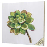 30" X 30" Ligth Wood Toned Frame Succulents IIi