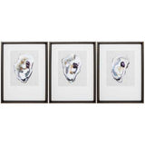 18" X 24" Brushed Silver Frame Oyster Shell Study (Set of 3)