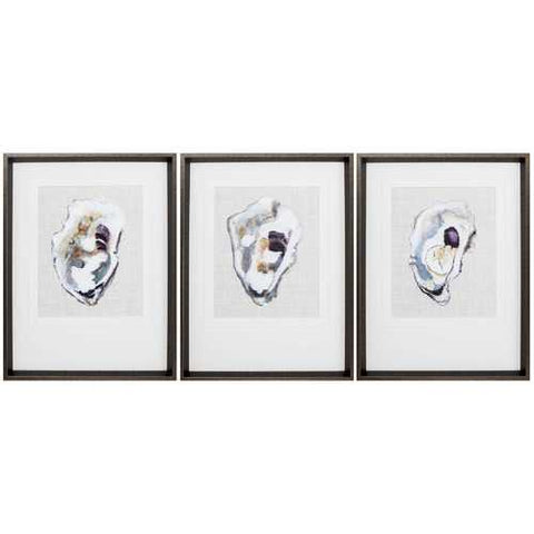 18" X 24" Brushed Silver Frame Oyster Shell Study (Set of 3)