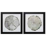 14" X 14" Dark Wood Toned Frame Woodland Years (Set of 2)