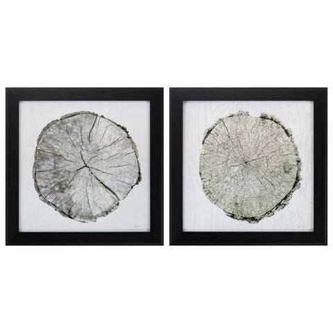 14" X 14" Dark Wood Toned Frame Woodland Years (Set of 2)