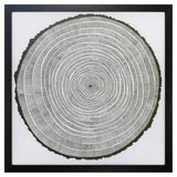 26" X 26" Dark Wood Toned Frame Tree Theory