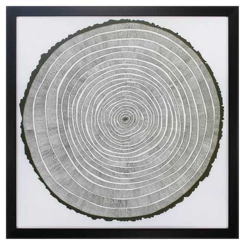 26" X 26" Dark Wood Toned Frame Tree Theory