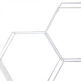 Hexagonal Metal Shelf with D-Ring